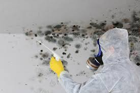 Reliable Upper Brookville, NY Mold Removal Solutions